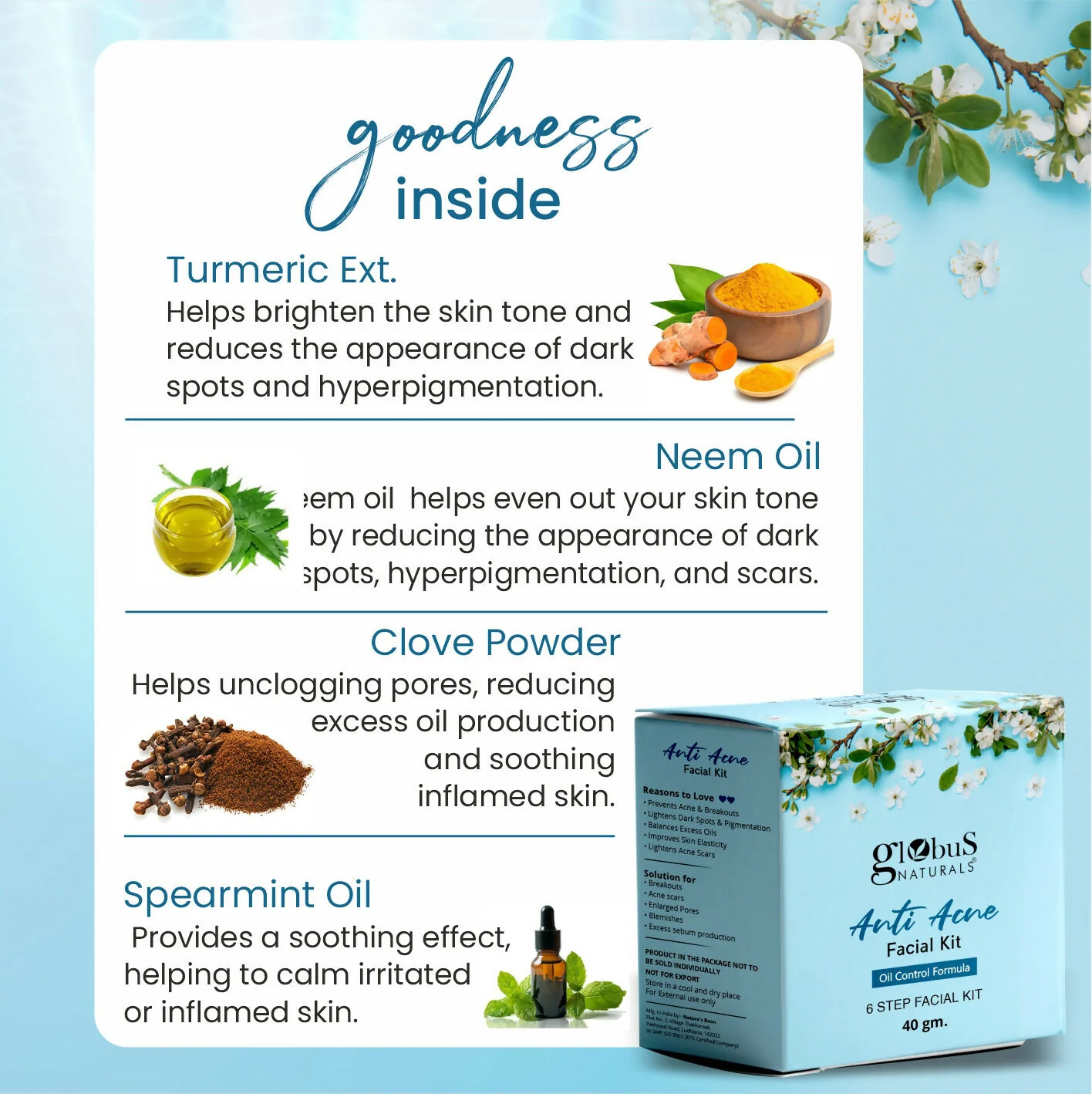 Globus Naturals Anti Acne 6 Step Facial Kit - Image 7