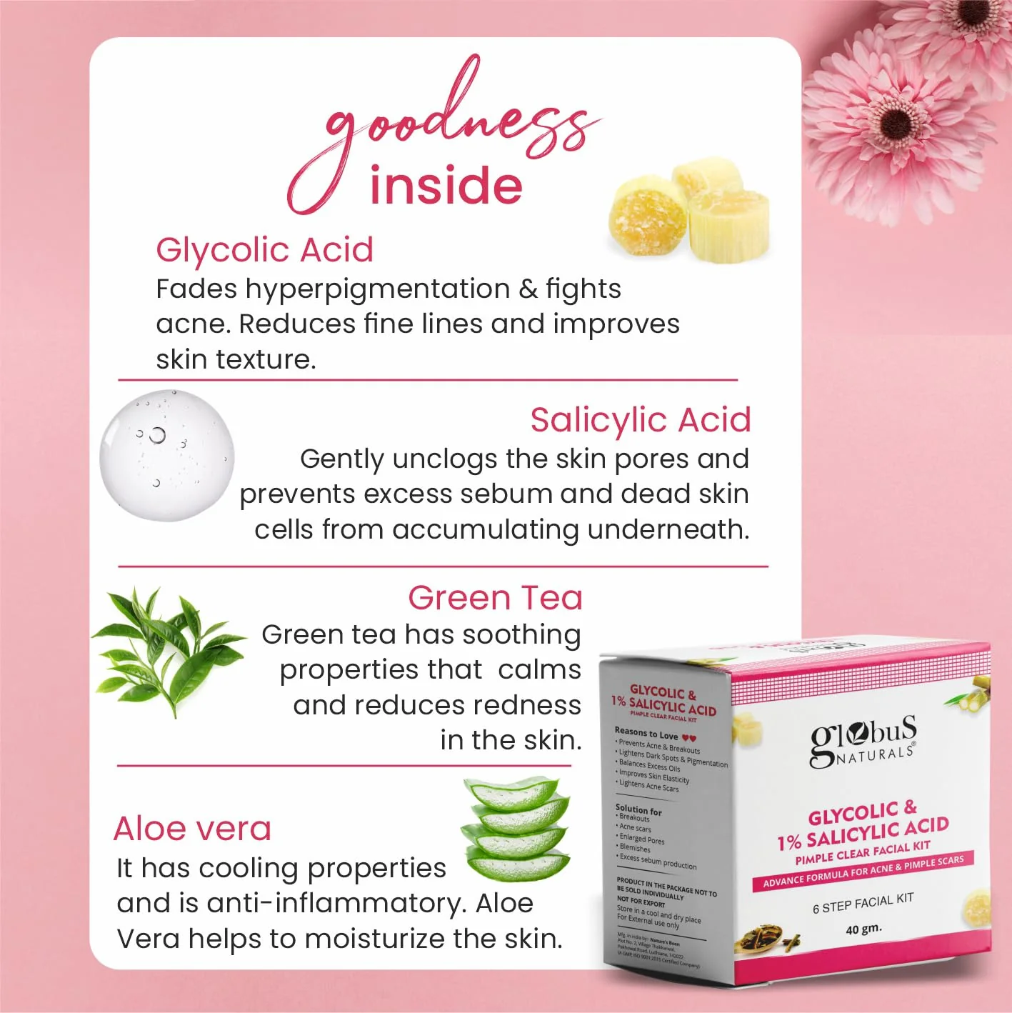 Globus Naturals Anti Acne Glycolic & Salicylic Acid 6 Step Facial Kit - Image 2