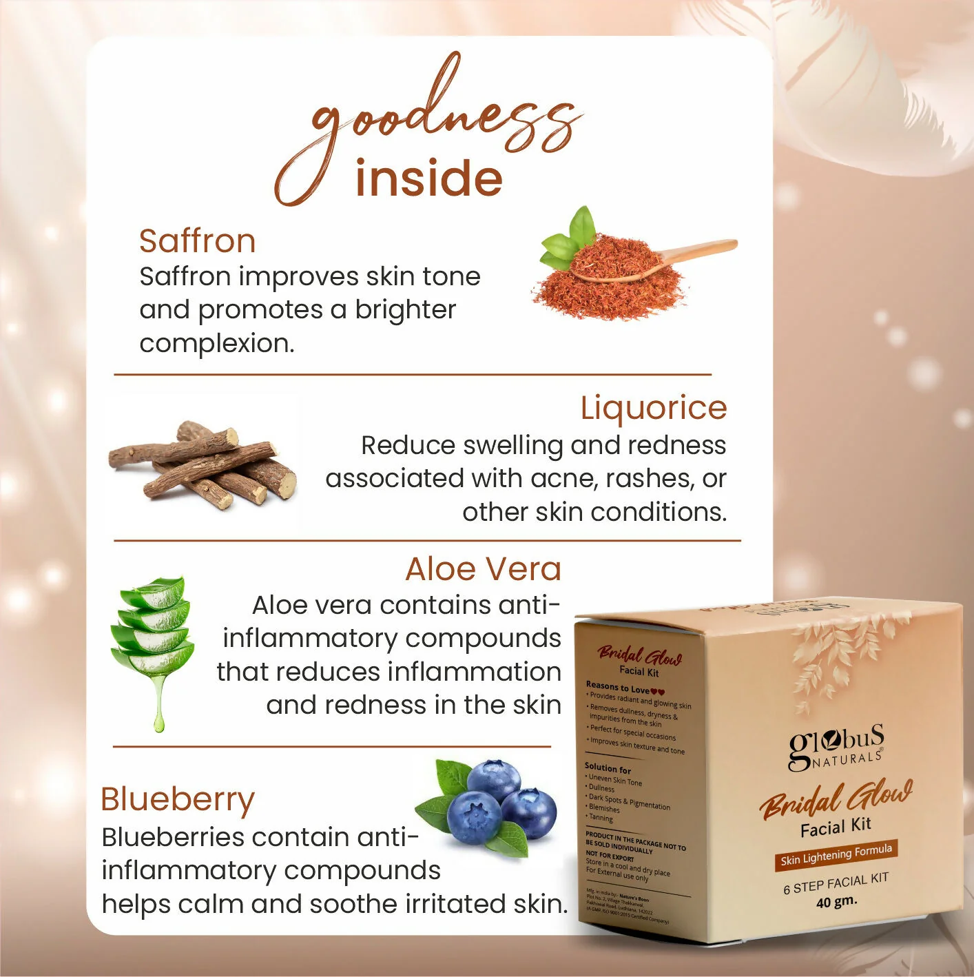 Globus Naturals Illuminating Bridal Glow 6 Step Facial Kit - Image 5