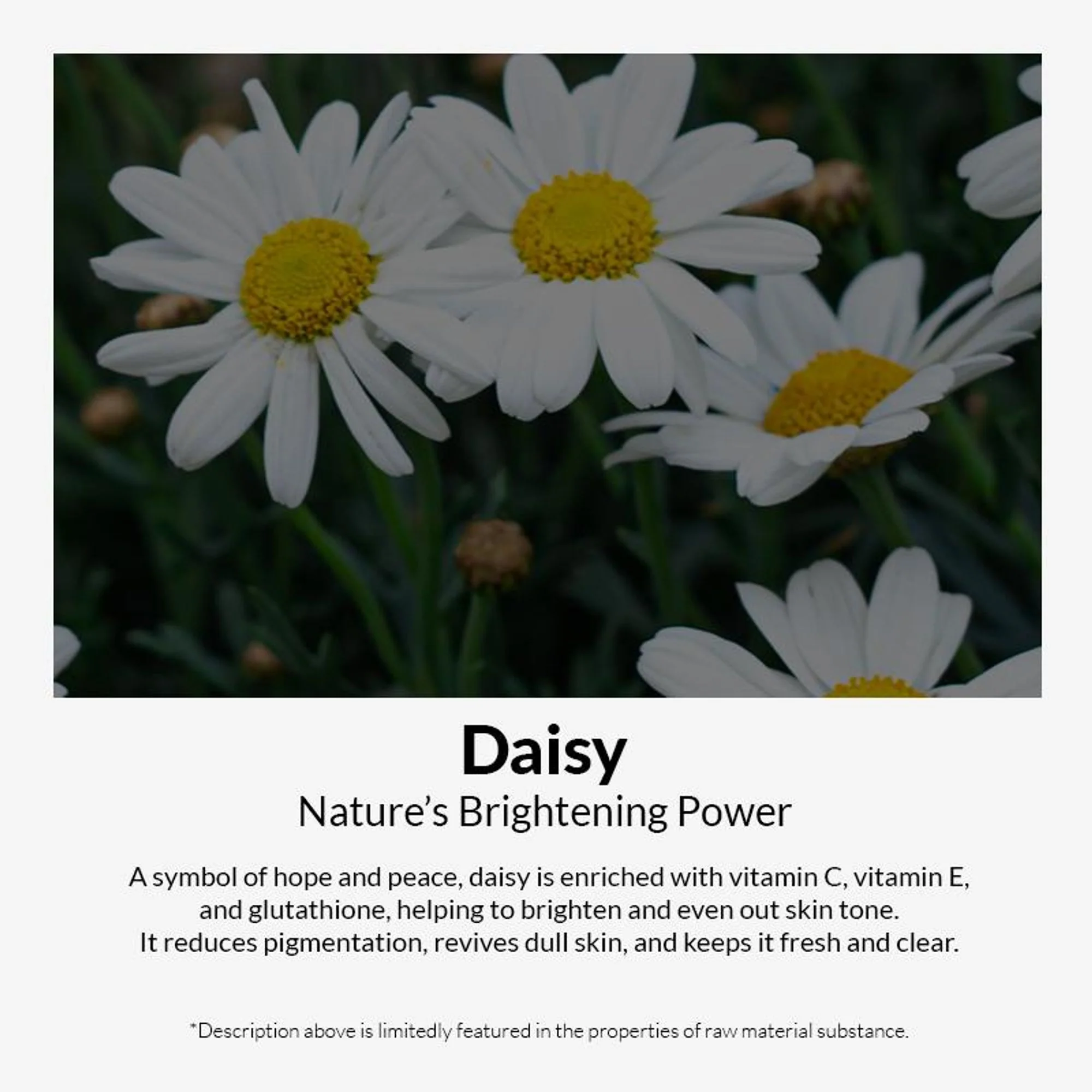 Mixsoon Korean Daisy Essence - Image 6