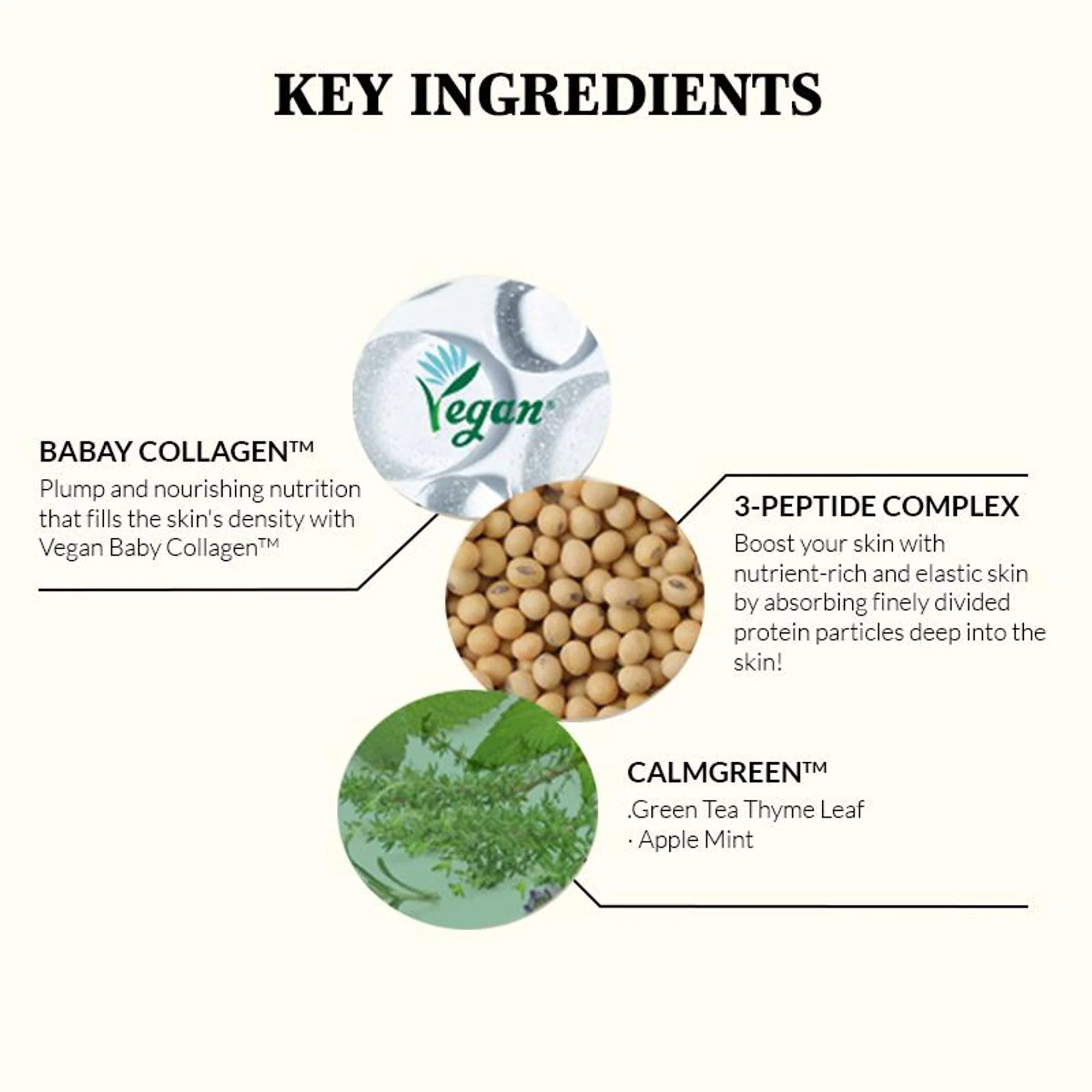 Mixsoon Korean Soybean Milk Serum, Hydrates & Smoothens Dry, Dull Skin with Fermented Soy Proteins - Image 4