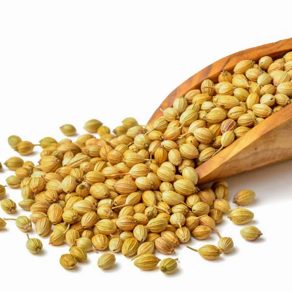 Organic Mandya Coriander Whole - Image 3