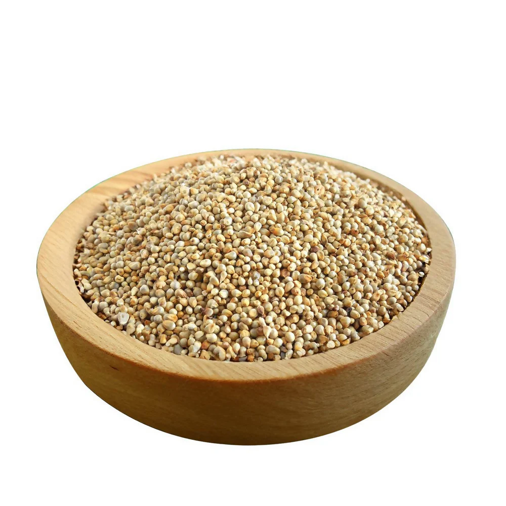 Organic Mandya Pearl Millet (Sajje) - Image 3
